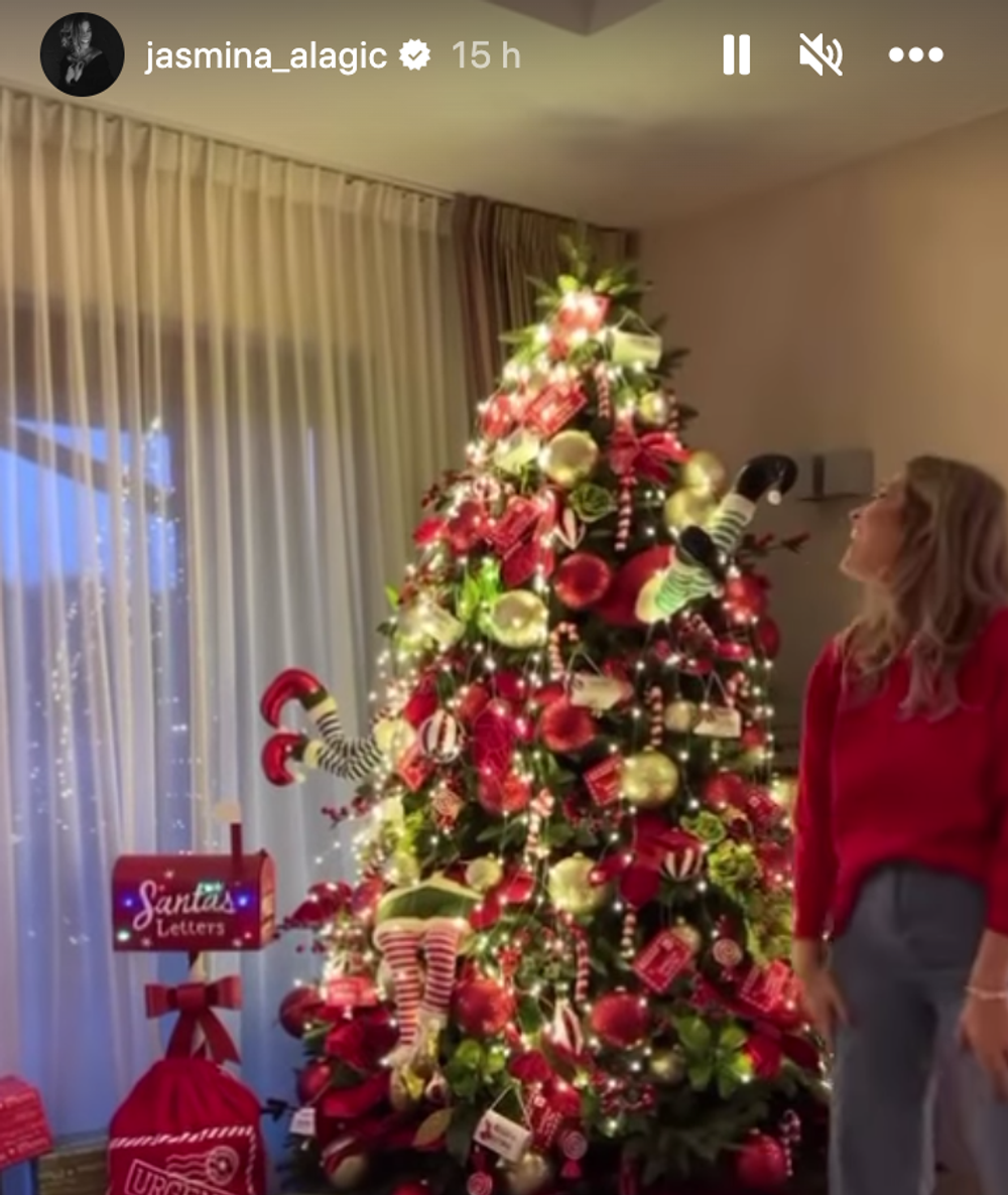 Vianočný stromček u Alagič