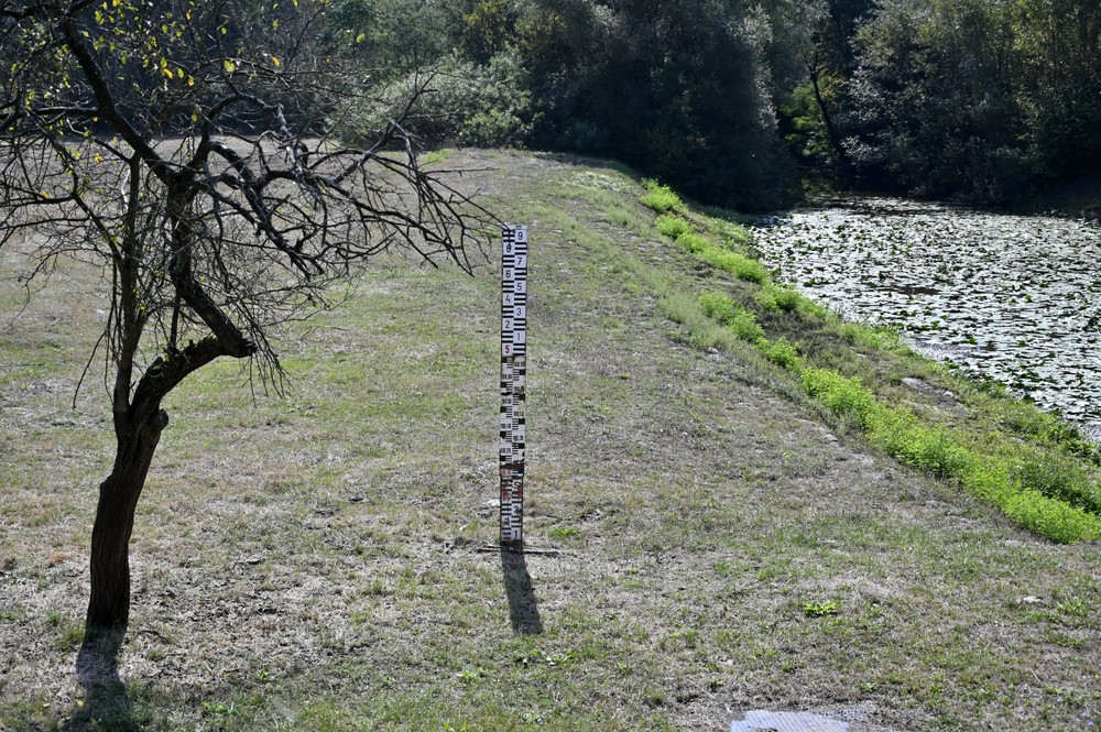Besa_suchy_polder_006071920