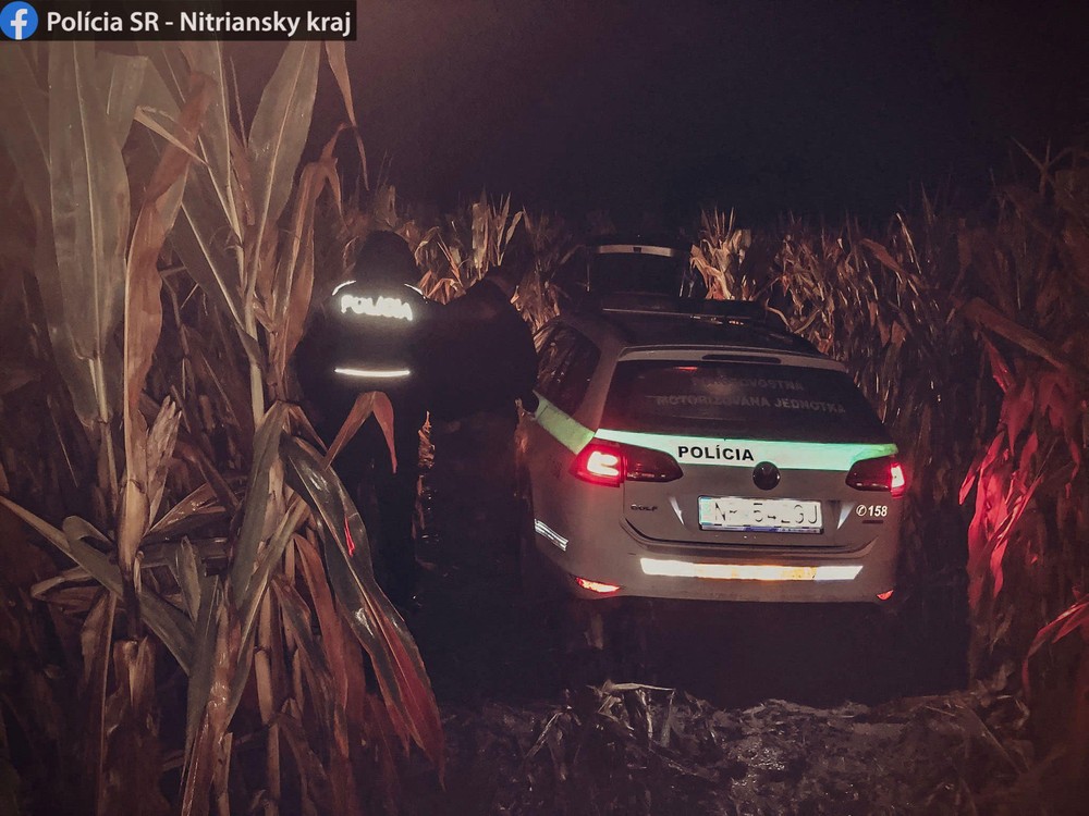 300768381_1195773864300949_5017850207112733067_n