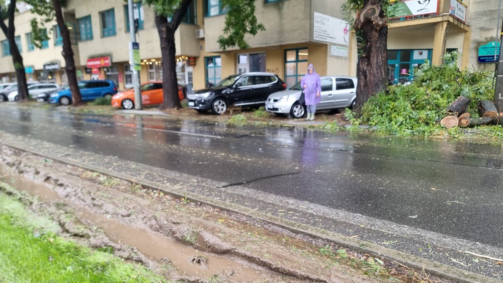 WhatsApp Image 2024-09-13 at 14.13.22 (1)