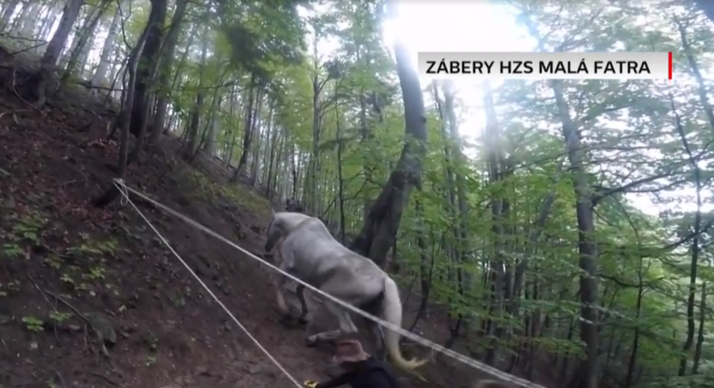 Horskí záchranári takúto akciu ešte nezažili. V Malej Fatre zachraňovali jazdecké kone