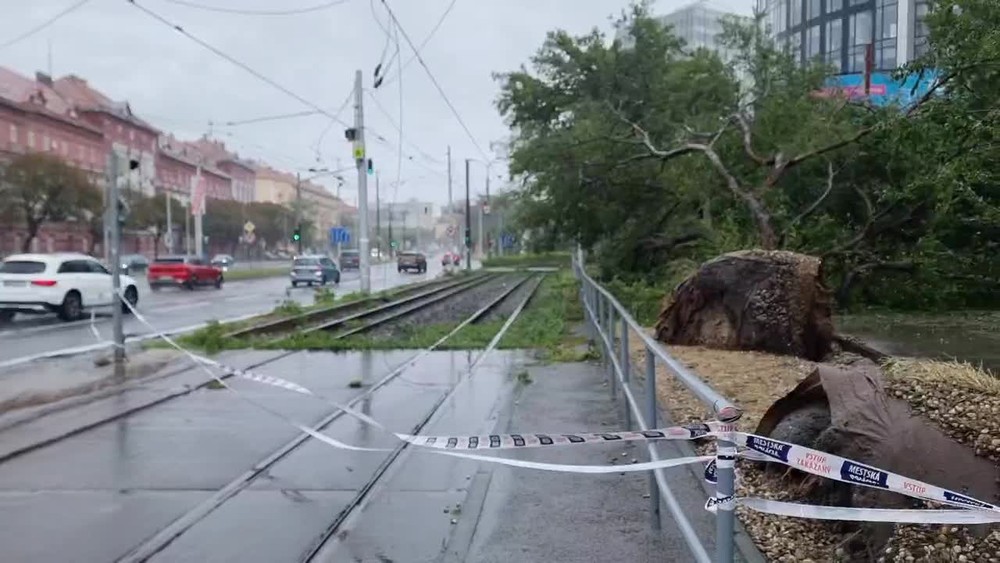 [multi] CENTRAL 2615