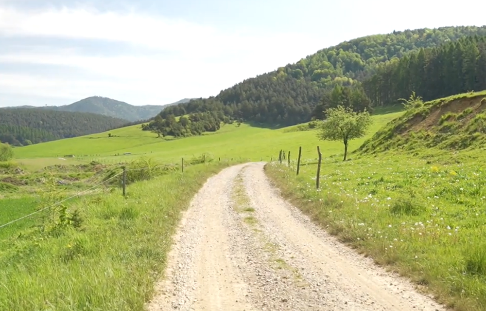 Screenshot 2024-05-05 095236