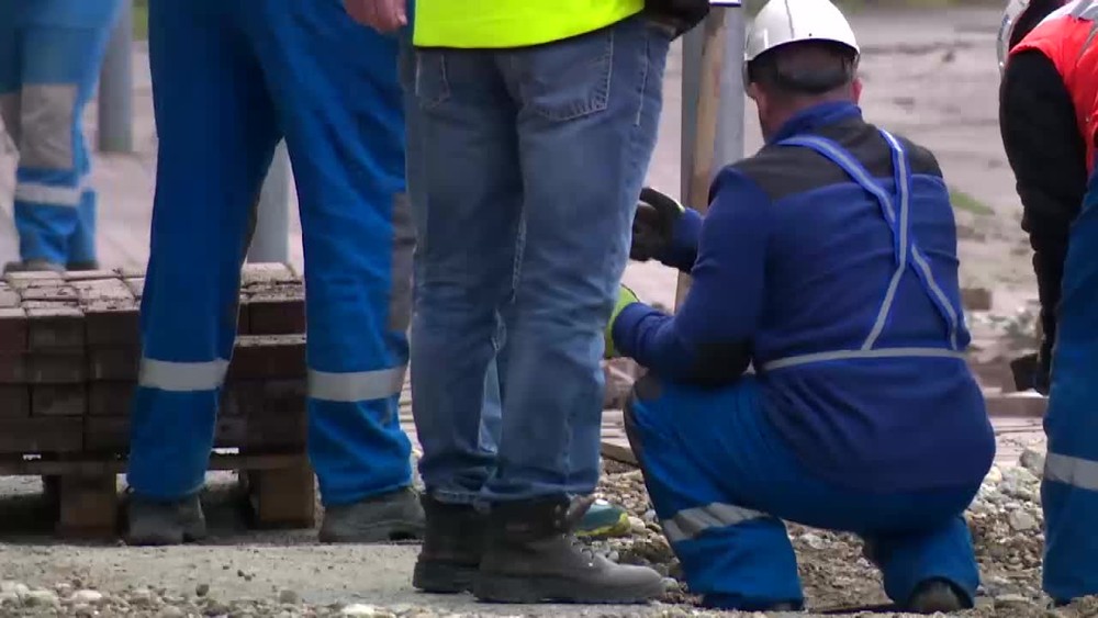 [multi] Sad Janka Krala 15215