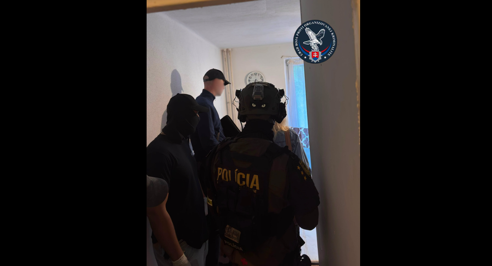 Policajný zásah 
