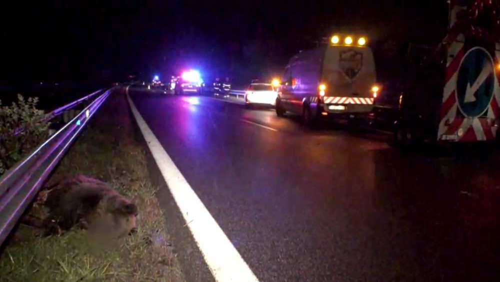 Nehoda sa stala na R1 za Zvolenom.