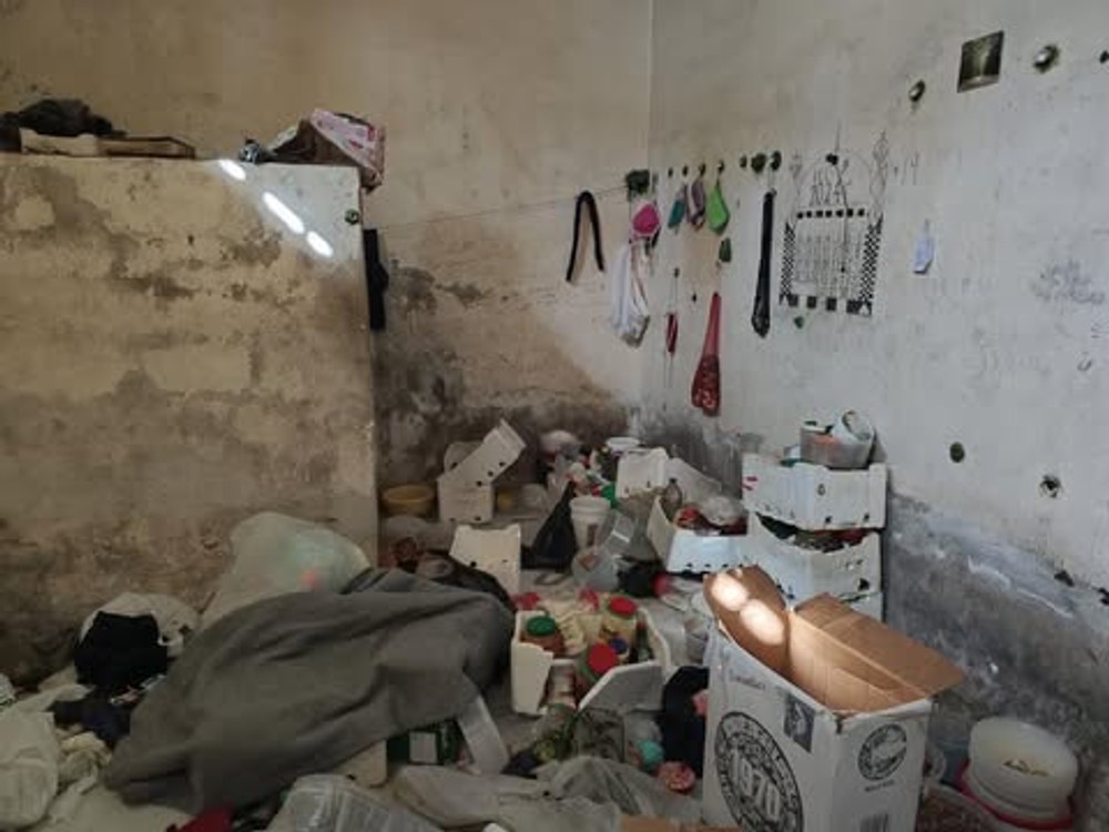 syria vazenie pas 15