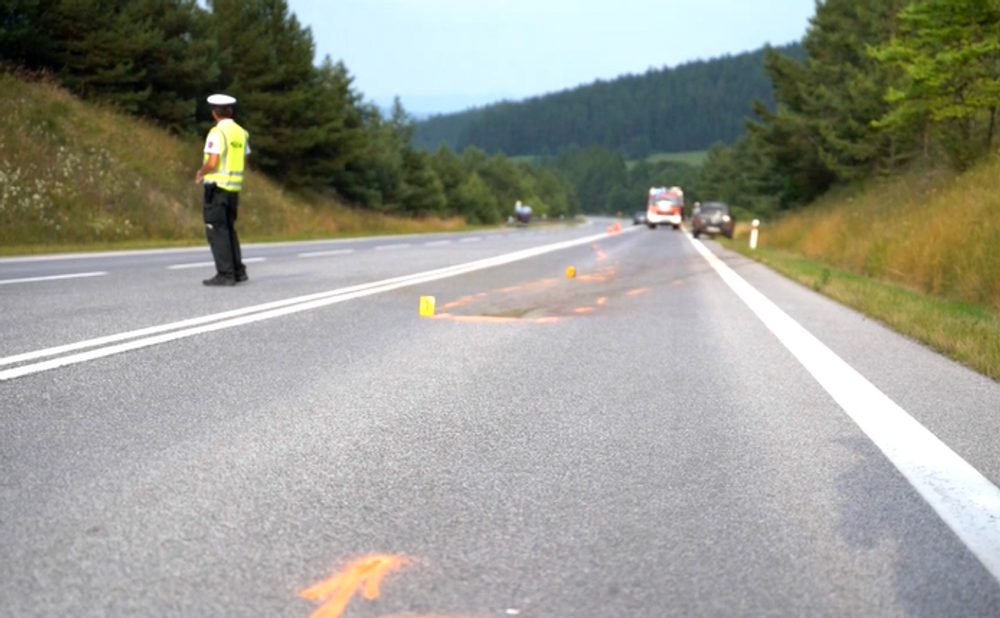 Motorkár sa zrazil so srnkou