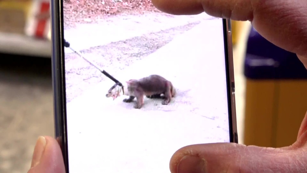 [multi] VSTUP Vydra v obchode. 7085