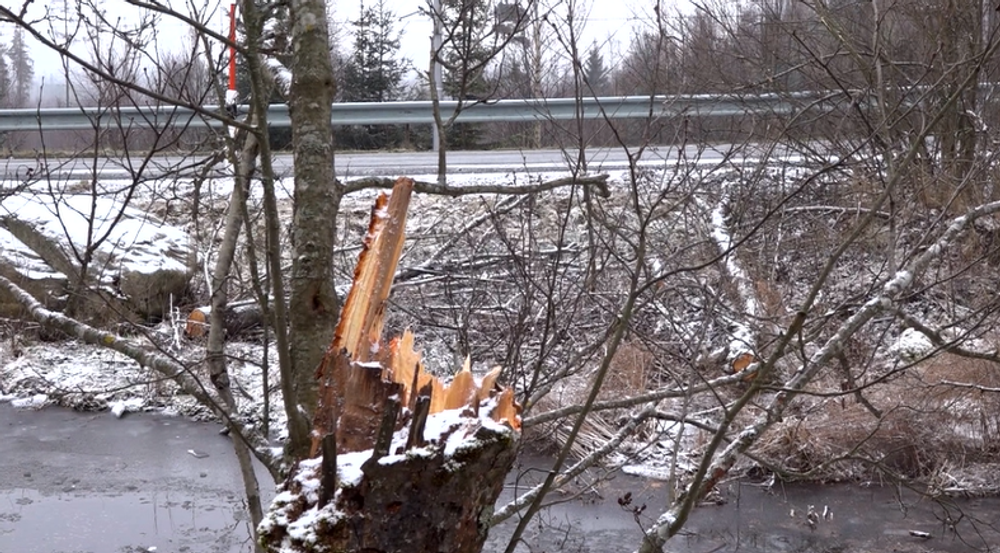 Severom Slovenska sa prehnal vietor o sile orkánu. Viaceré obce ostali na Štedrý deň bez elektriny