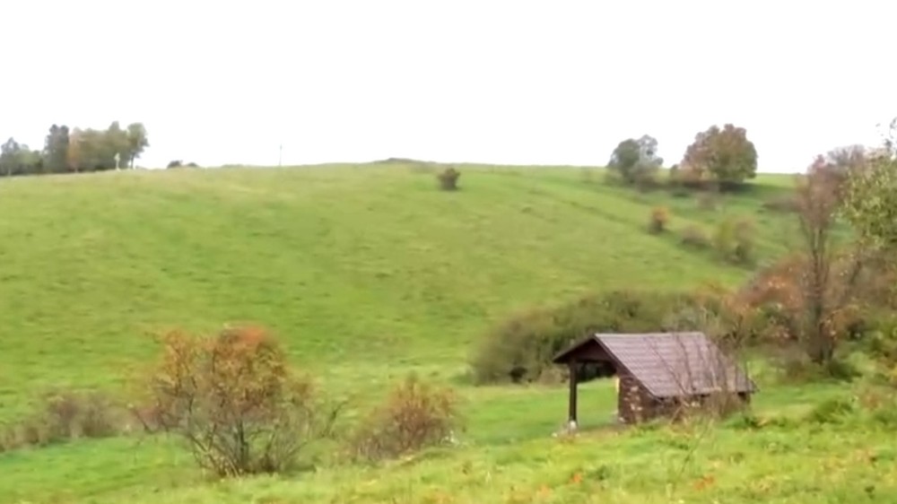 Druhý chlapec ležal v bezvedomí v neďalekom altánku.