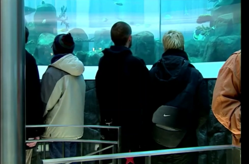 berlin akvarium