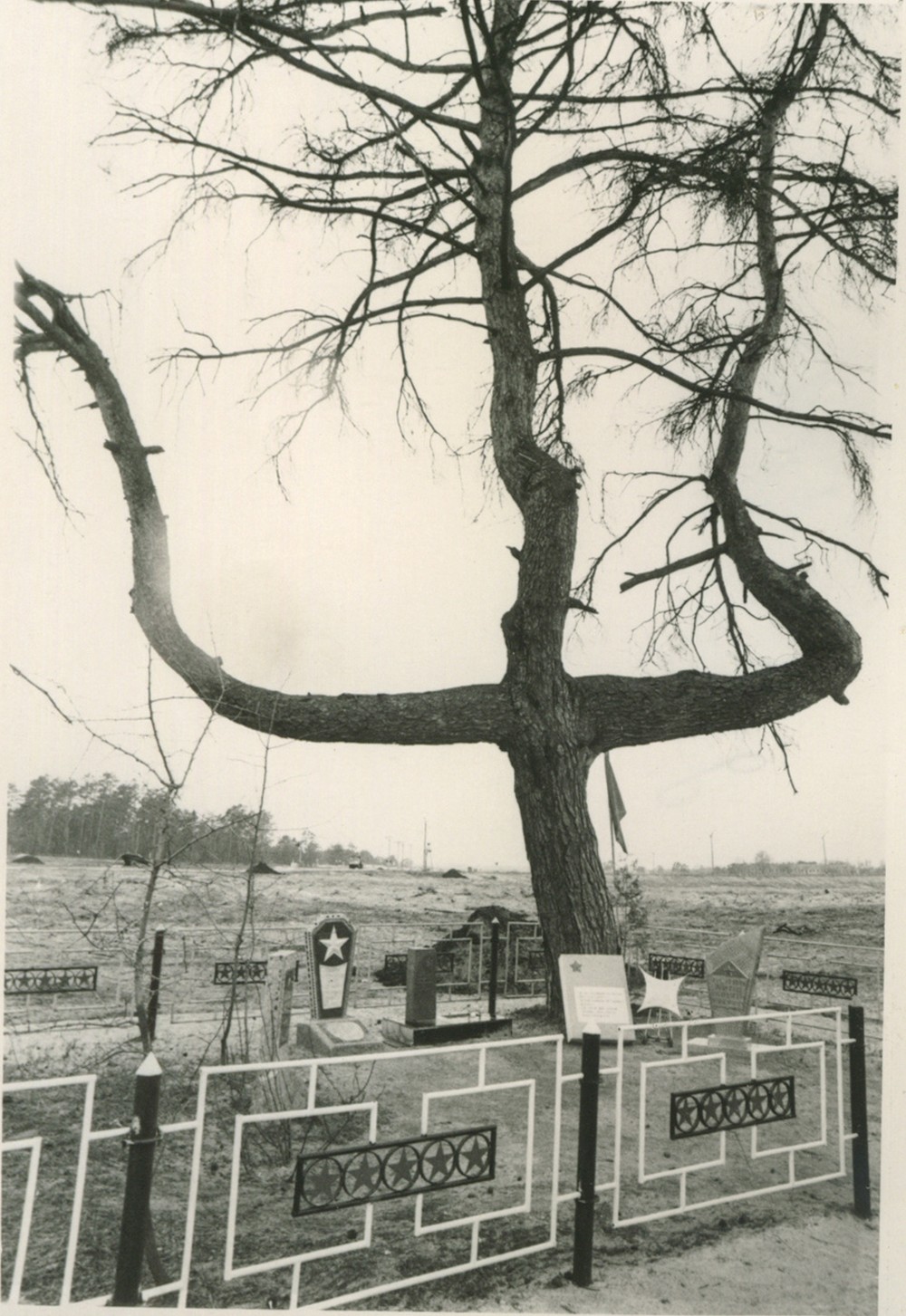 2. polovica 20. storočia - „Niekoľko kilometrov od Čornobyľskej jadrovej elektrárne stojí táto vyschnutá borovica.“