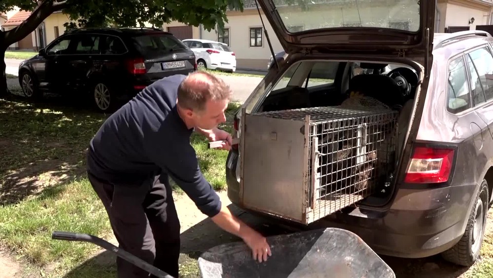 Záchranné stanice volajú o pomoc