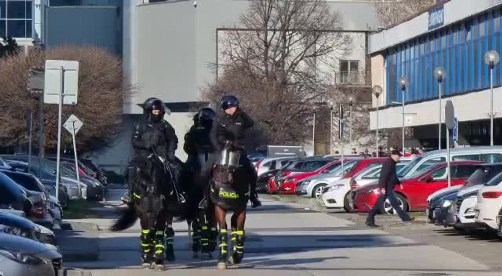 [multi] Pred futbalom, polícia na koňoch 10561