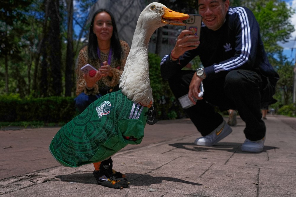 Mexico_WCup_Mascot427657 (1)