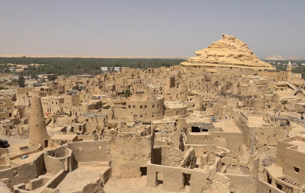 Screenshot 2024-05-05 112216