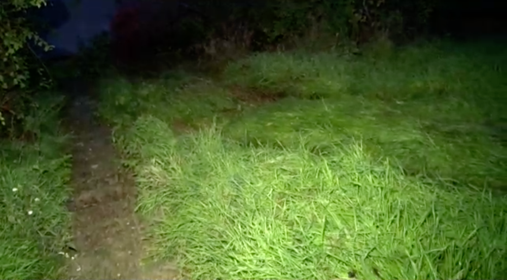 Auto po bujarej párty skončilo v rieke