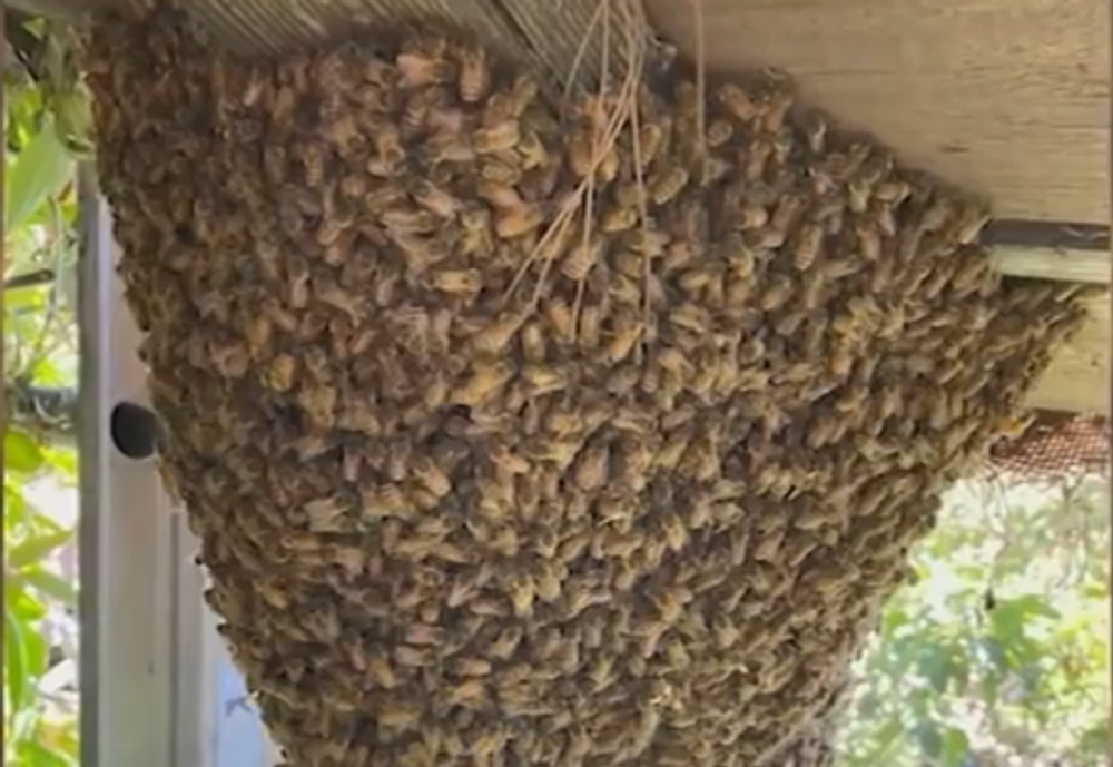 Screenshot 2024-05-05 102206