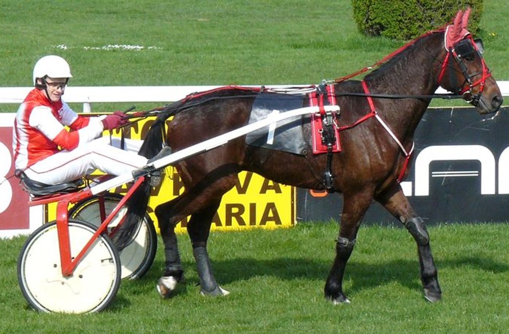 Striebro pre Stinga