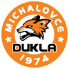 logo tímu