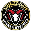 logo tímu
