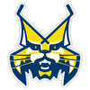 logo tímu