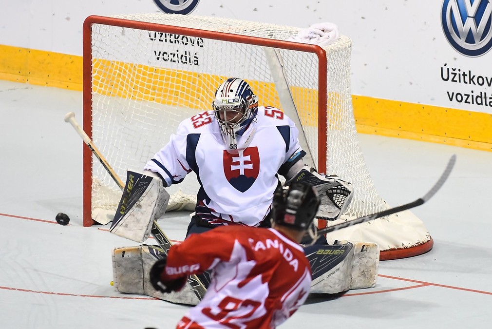 MS Inline Slovensko vs Kanada