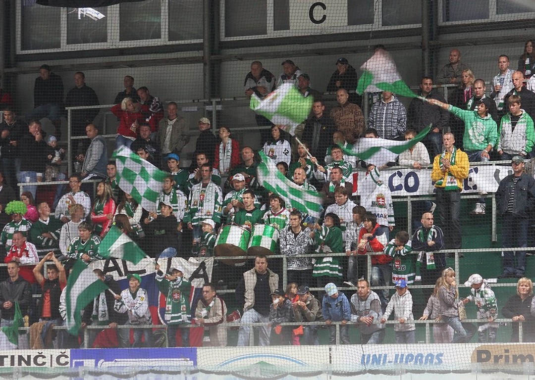 Skalica fans