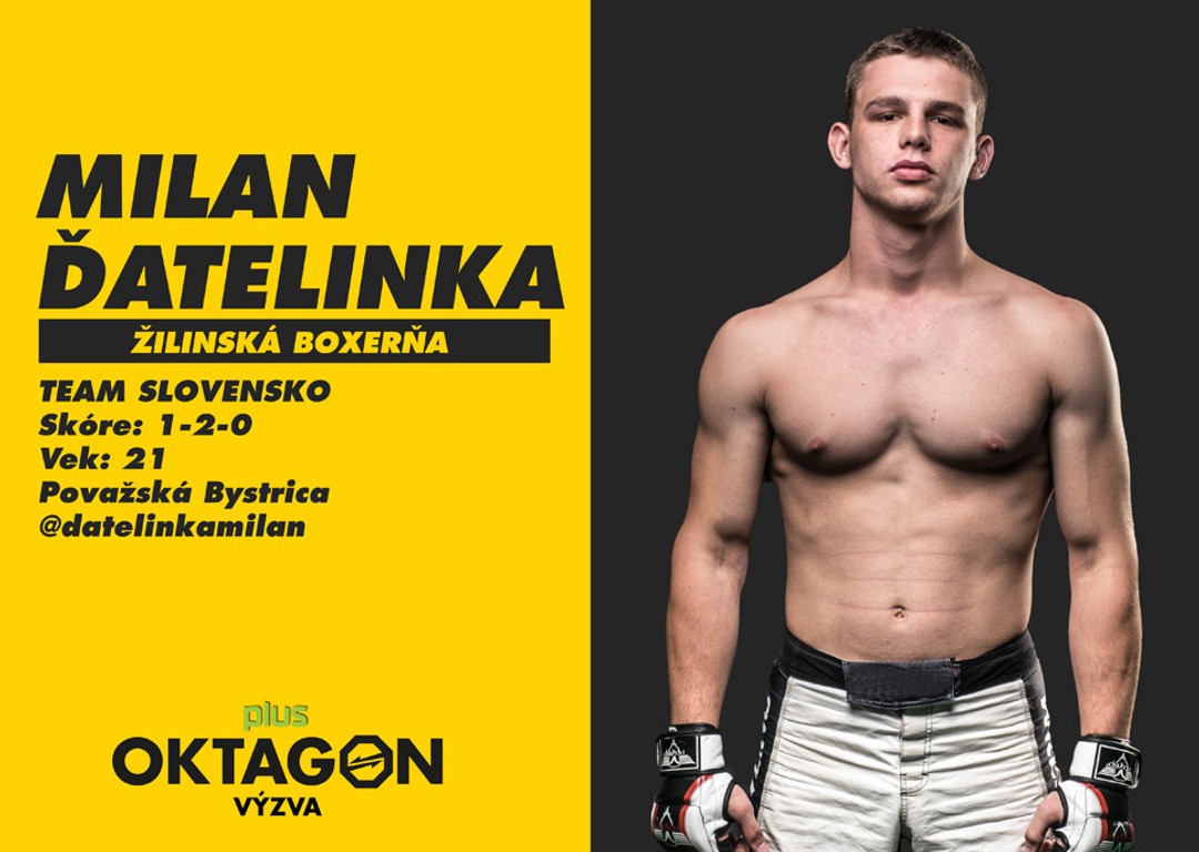 Milan Ďatelinka