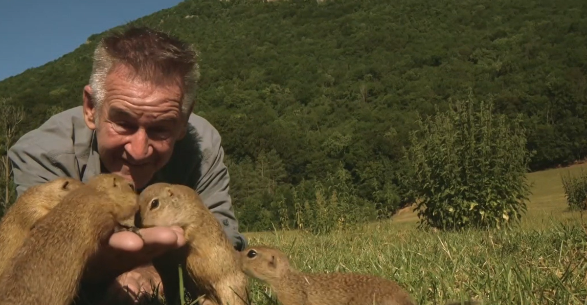 Modré žaby, sysle aj rysy: Britský dokumentarista Nigel Marven dokončil ...