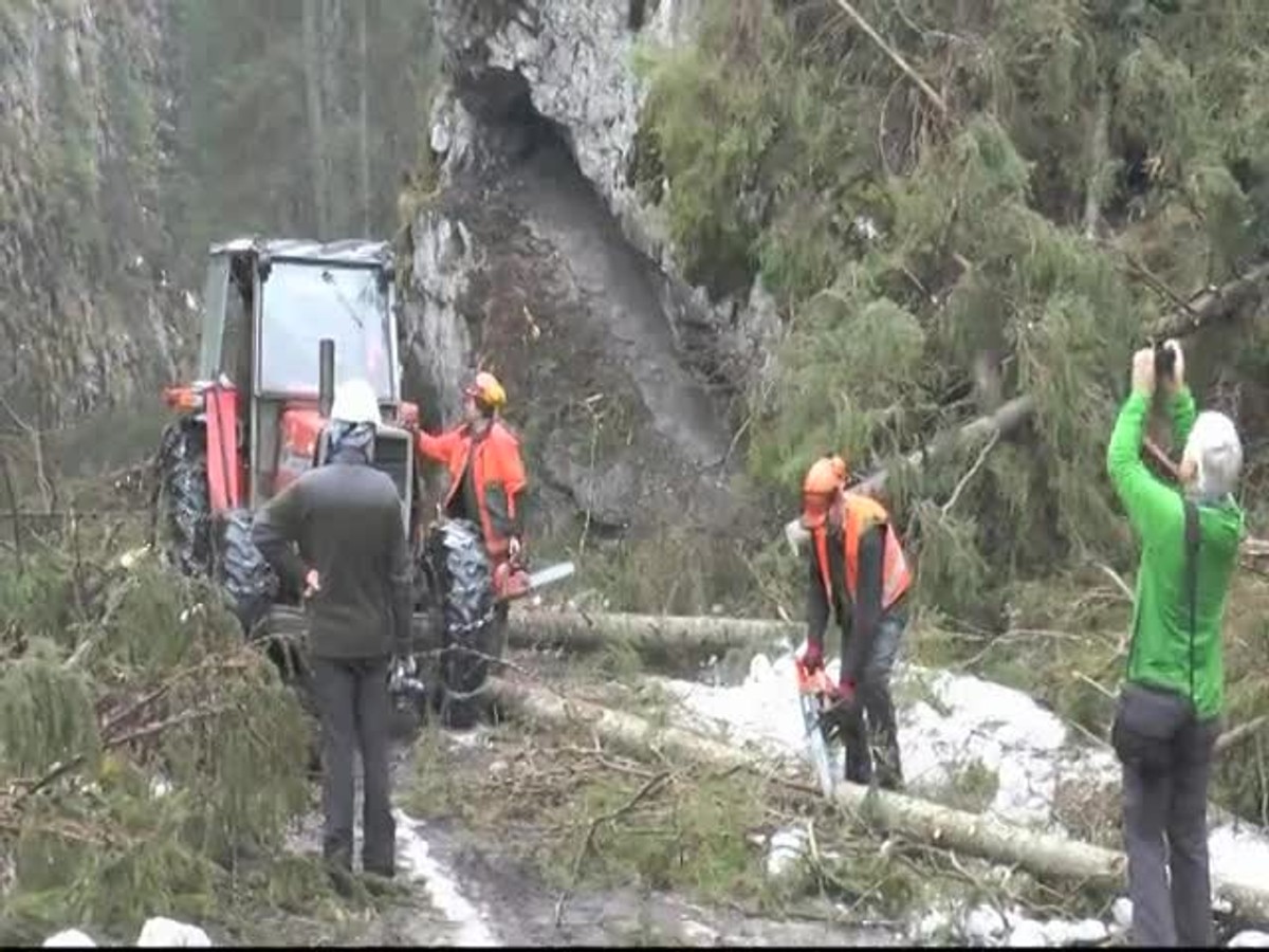 FOTO: 15 rokov po ničivej víchrici v Tatrách. Pozrite sa, ako vyzerá tatranská príroda teraz