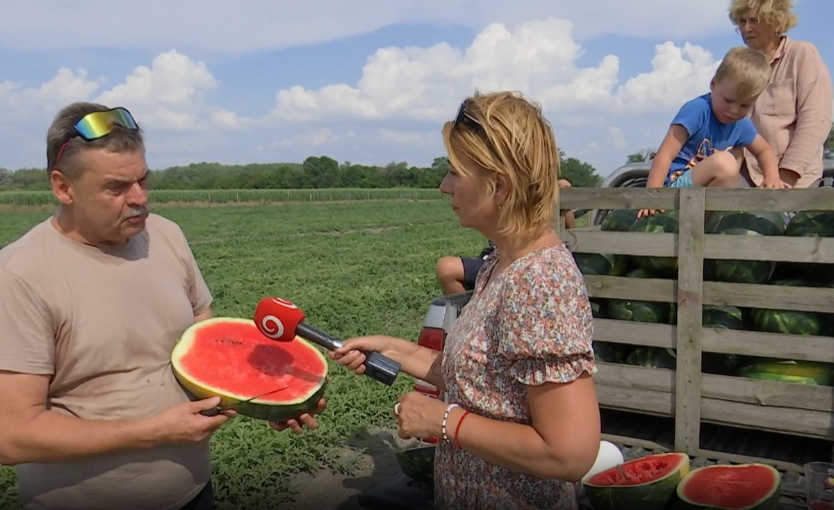 Sladká tradícia z Dunajského Klátova: Prvé slovenské melóny sú tu