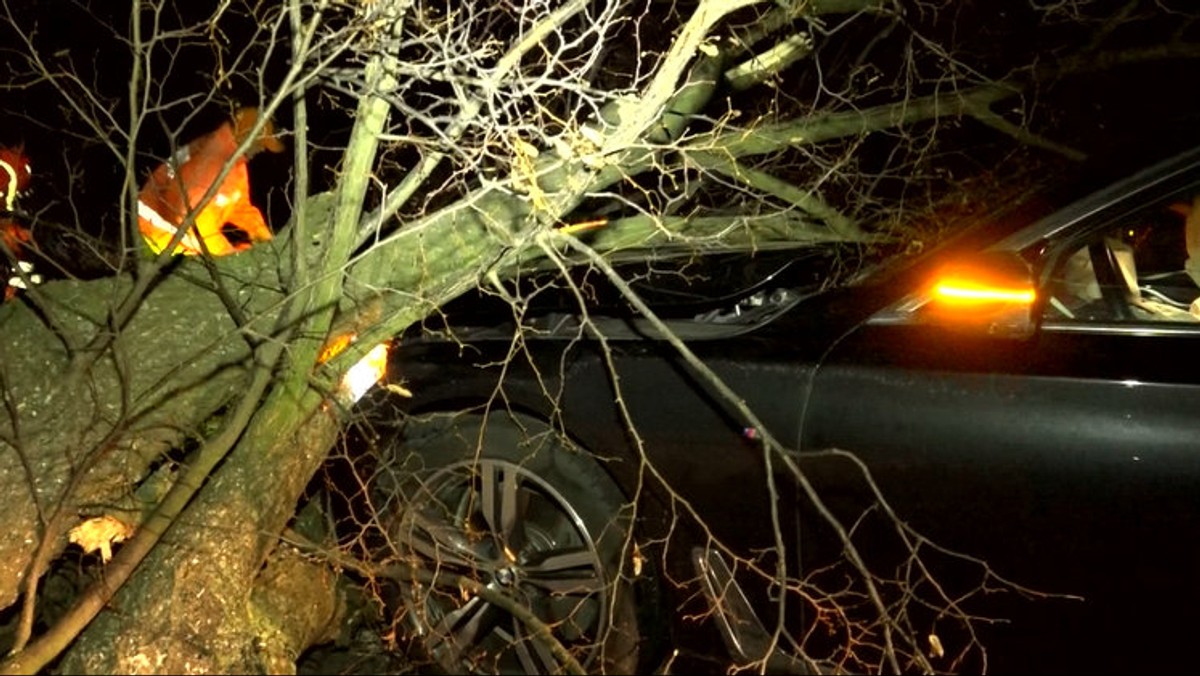 Strom padol na idúce auto. Silný vietor ho vytrhol aj s koreňmi