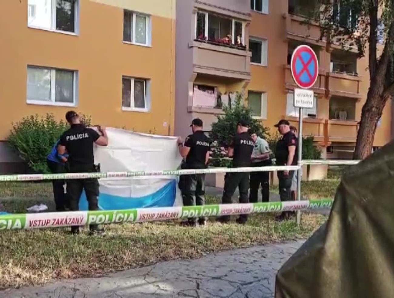 Matka našla syna s bodným poranením hrudníka. Oživovala ho až do príchodu záchranárov