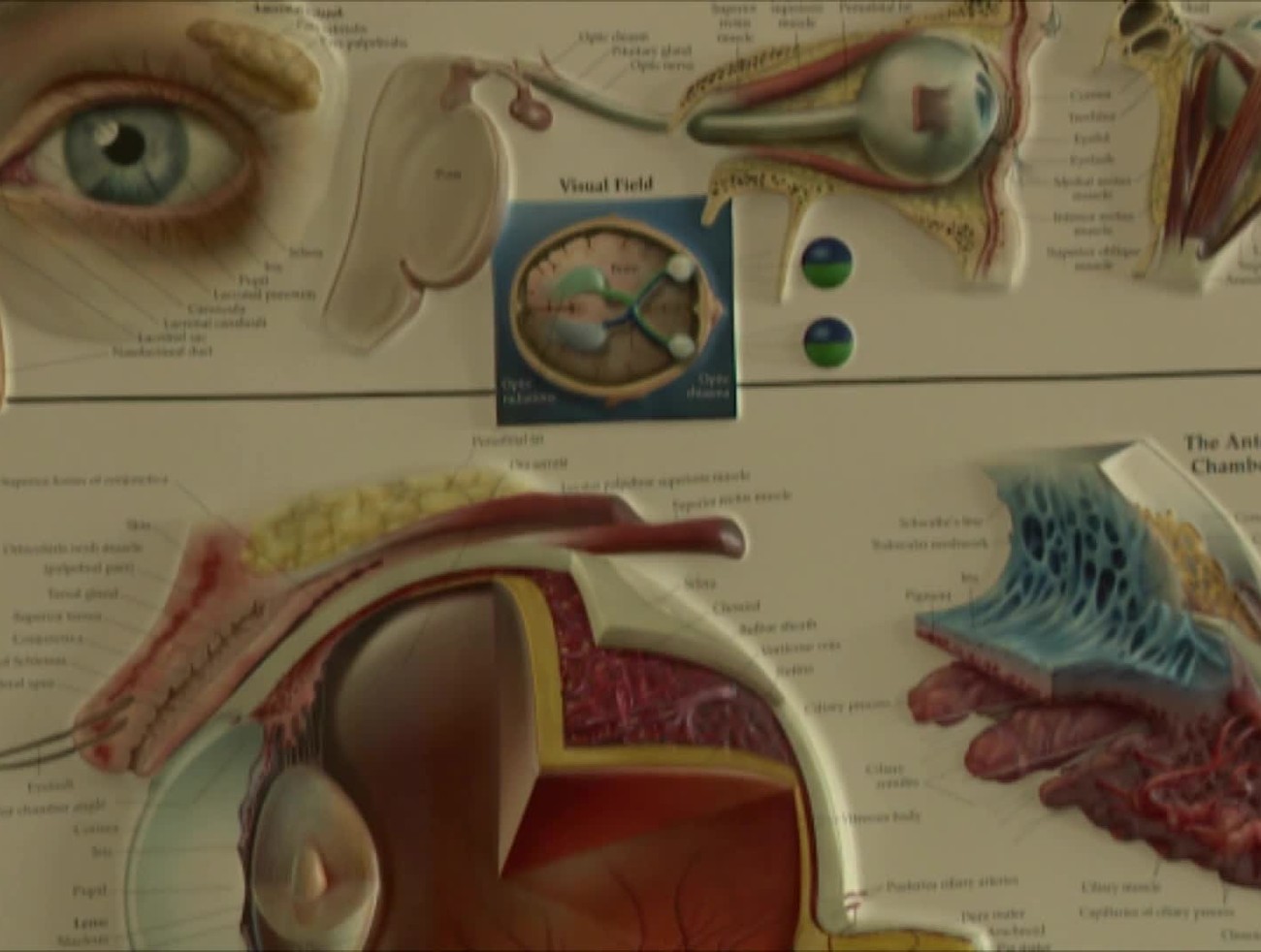 TOTO je 8 spôsobov ako chrániť oči pred starnutím. Ako vidieť lepšie?