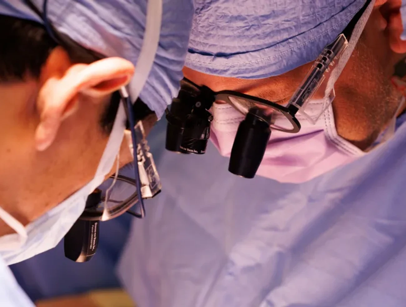 Rekord v xenotransplantácii: Prasacia oblička fungovala v tele muža 271 dní