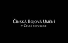 Čínská bojová umění v ČR - Tradice mistrů