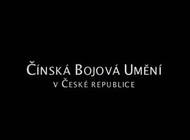 Čínská bojová umění v ČR - Tradice mistrů