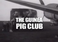 Klub pokusných morčat