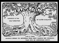 Zlověstná eugenika - experiment v Ungemachu