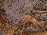 Hon na čarodějnice