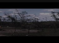 Vietnamská džungle smrti