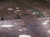 Občané proti sicilské mafii