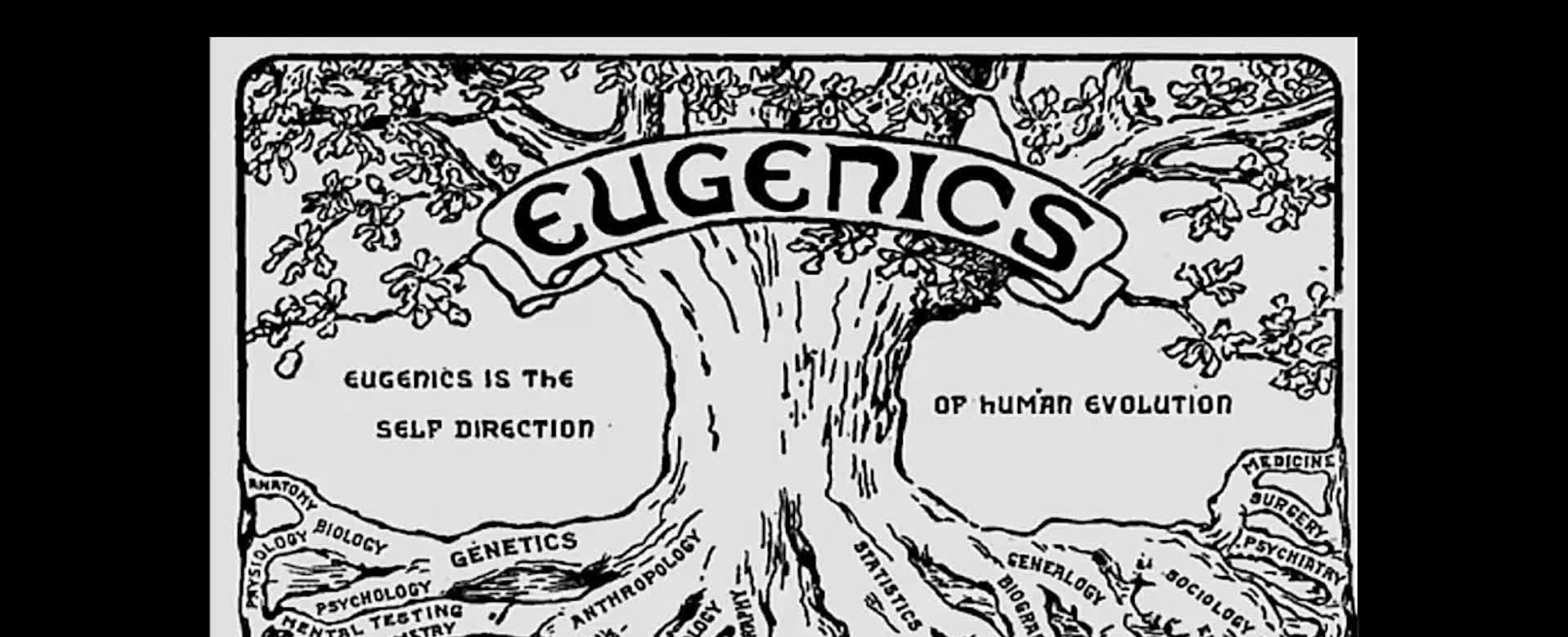 Zlověstná eugenika - experiment v Ungemachu