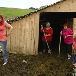 Chudnutie u Bučkovcov sa začína!