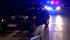 Mladému páru vbehla do cesty 200-kilová medvedica. Na mieste zahynula