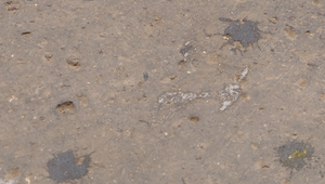 Neznámy útočník polial žieravinou ženu (†39) v Nových Zámkoch, polícia dodnes nepozná vraha