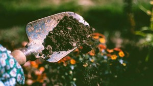 Zima klope na dvere. Pripravte svoje záhrady na chladné dni a noci