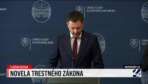 Alternatívne tresty a odlíšenie dílerov od užívateľov drog: Heger a Karas o novele trestného zákona